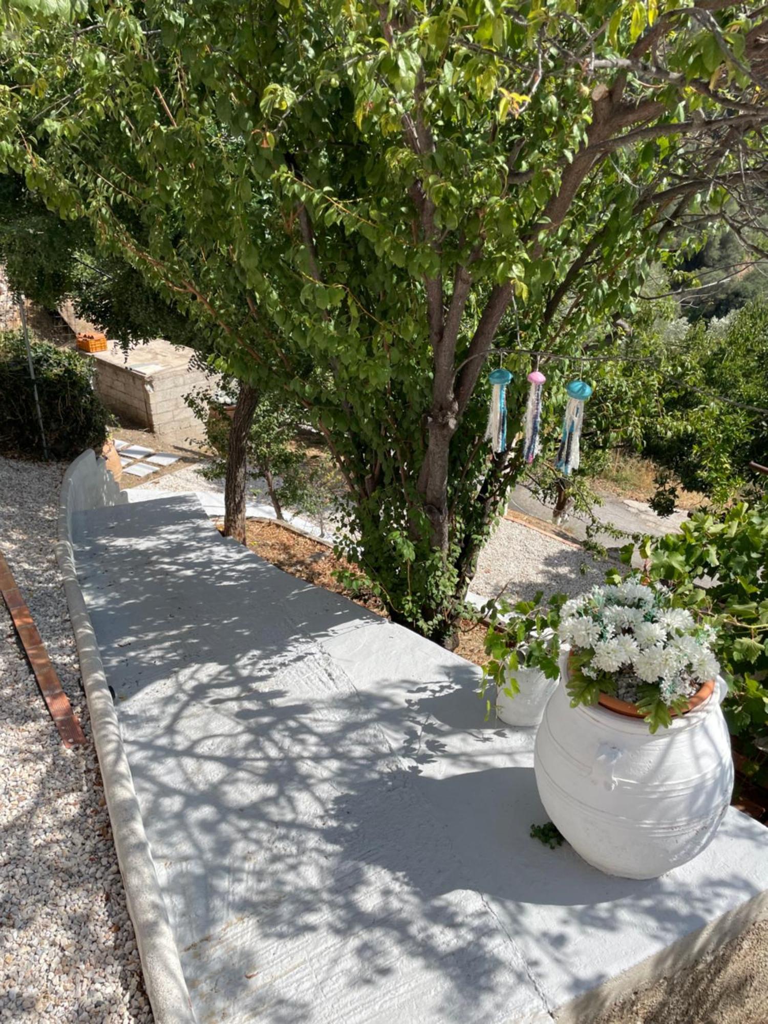 Villa Koomas - Kakodiki Paleochora Avdhouliana ภายนอก รูปภาพ